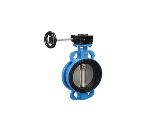 Op maat gemaakt Dn65 Dn800 Plastic PPH Seal Wafer Worm Gear Type Butterfly Valve Voor Cement Silo